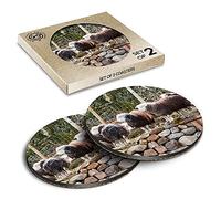 2 x Eco Boxed Cork Coasters - Herdwick Sheep Flock Lake District Drink Cup Mug Glass Table Mat #45319