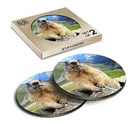 2 x Eco Boxed Cork Coasters - Marmot Wild Animal Mountain Drink Cup Mug Glass Table Mat #12604