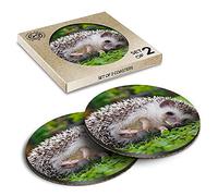 2 x Eco Boxed Cork Coasters - ny Hedgehog Laying on Grass Drink Cup Mug Glass Table Mat #45101