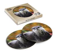2 x Eco Boxed Cork Coasters - Otter Wild Animal Nature Drink Cup Mug Glass Table Mat #12642
