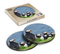 2 x Eco Boxed Cork Coasters - Puffins on Mykines Farow Islands Drink Cup Mug Glass Table Mat #16953