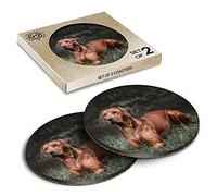 2 x Eco Boxed Cork Coasters - Rhodesian Ridgeback Dog Drink Cup Mug Glass Table Mat #16679