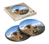 2 x Eco Boxed Cork Coasters - Valais Blacknose Sheep Matterhorn Zermatt Drink Cup Mug Glass Table Mat #46394
