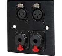 2 x Female XLR & 2 x Microphone Jack wall plate