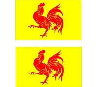 2 x Flag of Wallonia Vinyl Self-Adhesive Stickers for Cars, PCs or s