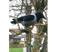 2 x Flocked Hooded Crow Decoy Rook Hood Crows Decoy Corvid Jackdaw Decoying Shooting