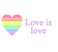 2 x Gay Pride Love is Love Rainbow Car Window Wall Sticker Label Sign Removable Self Adhesive Waterproof Durable Vinyl Label Sticker 225mm x 106mm