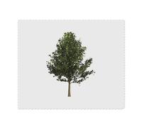 2 x 'Ginkgo Tree' Microfibre Lens/Glasses Cleaning Cloths (LC00022933)