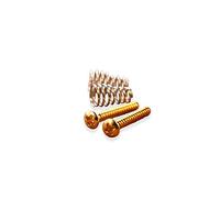 2 x Gold Single Coil Pickup Screws for Wilkinson Vintage Stratocaster, Telecaster, Guitars (Set of 2, Gold)