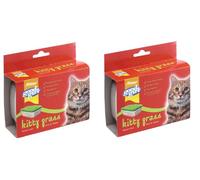 2 X GOOD GIRL KITTY KITTEN CAT GRASS