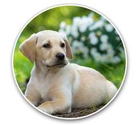 2 x Heart Stickers 10 cm - Cute Labrador Puppy Dog Animals Pets Fun Decals for Laptops,Tablets,Luggage,Scrap Booking,Fridges #8396