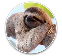 2 x Heart Stickers 10 cm - Lazy Wild Sloth Animals Fun Decals for Laptops,Tablets,Luggage,Scrap Booking,Fridges #8487