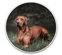 2 x Heart Stickers 10 cm - Rhodesian Ridgeback Dog Fun Decals for Laptops,Tablets,Luggage,Scrap Booking,Fridges #16679