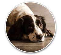 2 x Heart Stickers 10 cm - Springer Spaniel Dog Puppy Animals Fun Decals for Laptops,Tablets,Luggage,Scrap Booking,Fridges #8725