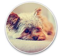 2 x Heart Stickers 10 cm - Yorkshire Terrier Puppy Dog Fun Decals for Laptops,Tablets,Luggage,Scrap Booking,Fridges #15621