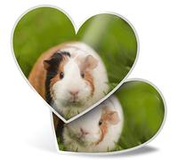 2 x Heart Stickers 15 cm - Tri Coloured Guinea Pig Pet Rodent Fun Decals for Laptops,Tablets,Luggage,Scrap Booking,Fridges, #15969