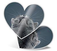 2 x Heart Stickers 7.5 cm - Funny Cute Cat British Blue Fun Decals for Laptops,Tablets,Luggage,Scrap Booking,Fridges, #21203