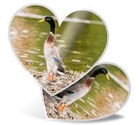 2 x Heart Stickers 7.5 cm - Pretty Indian Runner Duck Fun Decals for Laptops,Tablets,Luggage,Scrap Booking,Fridges, #3384