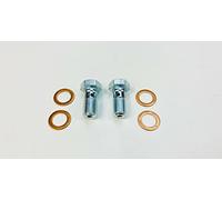 2 x Hydraulic Hose Banjo Bolt Compatible with Chrysler Grand Voyager 1992-2007 CRK/RG/003A