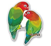 2 x Love Birds Vinyl Sticker Bike Laptop Car Bike Tropical Parrot #5036 (8cm Wide x 10cm Tall)