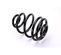 2 x Magnum Technology spring rear suspension spring