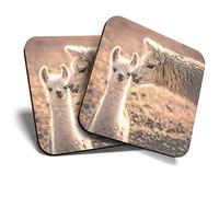 2 x MDF Glossy Top Coasters Square - Cute Llama Alpaca Mum Baby 12989
