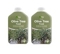 2 x Olive Tree Liquid Feed Concentrated 1L Bottles | An ideal boost of nutrients for any age or size of tree | Specially tailored nutrient mix
