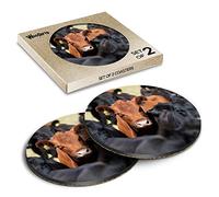 2 x Round Coasters - Aberdeen Angus Cattle Cow Bull Cork Backed MDF Glossy Tea Coffee Accessory #50009