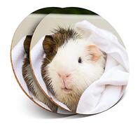 2 x Round Coasters - Bath Time Guinea Pig - Cork Backed Home Kitchen Accessory Tea Coffee Mug Mat #44231