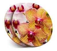 2 x Round Coasters - Beautiful Orchid Flowers Tropical - Cork Backed Home Kitchen Accessory Tea Coffee Mug Mat #14339