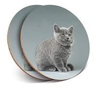 2 x Round Coasters - Blue British Kitten Cat Grey Fluffy - Cork Backed Home Kitchen Accessory Tea Coffee Mug Mat #44353