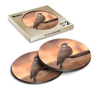 2 x Round Coasters - Common Wood Pigeon Wild Bird UK Cork Backed MDF Glossy Tea Coffee Accessory #50592