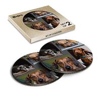 2 x Round Coasters - Cute Dachshund Dogs Dog Puppy Cork Backed MDF Glossy Tea Coffee Accessory #63072