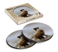 2 x Round Coasters - Cute Mudskipper Fish Nature Cork Backed MDF Glossy Tea Coffee Accessory #50677