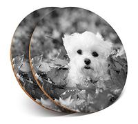 2 x Round Coasters - Cute West Highland Terrier Dog Westie - Cork Backed Home Kitchen Accessory Tea Coffee Mug Mat #43759