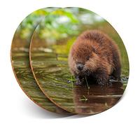 2 x Round Coasters - North American Beaver Kit Baby - Cork Backed Home Kitchen Accessory Tea Coffee Mug Mat #15569