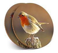 2 x Round Coasters - Robin Redbreast Bird Animals Birds - Cork Backed Home Kitchen Accessory Tea Coffee Mug Mat #8701