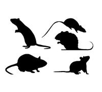 2 x Sheets Mouse/Rat Sticker Pack Variety of Styles - Light Switch - Car Sticker - Laptop Decal - Cute Stickers - Nursery Decor - Kids Stickers - Light Switch Sticker (10cm x 6.5cm Sheet Size, Black)