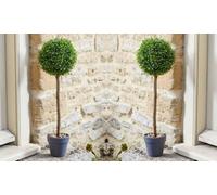 Smart Garden 2 x Uno Topiary Ball Tree 40cm Decorative Artificial Indoor Outdoor