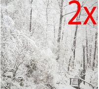 2 X Snow Steps Led Canvas Frame Light Up Indoor Decoration Gift Forest Stairs