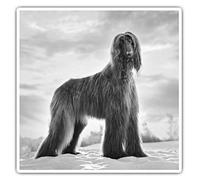 2 x Square 7.5cm Vinyl Stickers - Afghan Hound Dog Puppy 37179