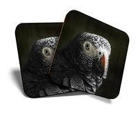 2 x Square Coasters - African Grey Parrot Bird Cork Backed Home Kitchen Accessory Tea Coffee Mug Mat #44038