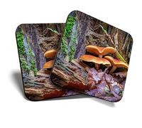 2 x Square Coasters - Autumn Mushrooms Treet Stump Forest Cork Backed Home Kitchen Accessory Tea Coffee Mug Mat #44184