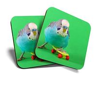 2 x Square Coasters - Budgie Skateboard Parrot Bird Cork Backed Home Kitchen Accessory Tea Coffee Mug Mat #44482
