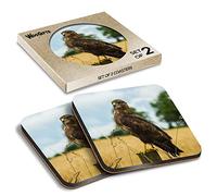 2 x Square Coasters - Buzzard Bird of Prey Wildlife Cork Backed MDF Glossy Tea Coffee Accessory #50423