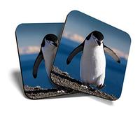 2 x Square Coasters - Chinstrap Penguin Deception Island Antarctica Cork Backed Home Kitchen Accessory Tea Coffee Mug Mat #44589