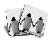 2 x Square Coasters - Cute Penguin Pair Holding Hands Cork Backed Home Kitchen Accessory Tea Coffee Mug Mat #43341