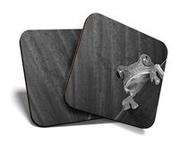 2 x Square Coasters - Frog Nature Frogs Cork Backed Home Kitchen Accessory Tea Coffee Mug Mat #39477