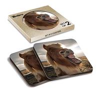 2 x Square Coasters - Laughing Icelandic Pony Horse Funny Cork Backed MDF Glossy Tea Coffee Accessory #53030