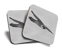 2 x Square Coasters - Peregrine Falcon New Jersey Cork Backed Home Kitchen Accessory Tea Coffee Mug Mat #39361